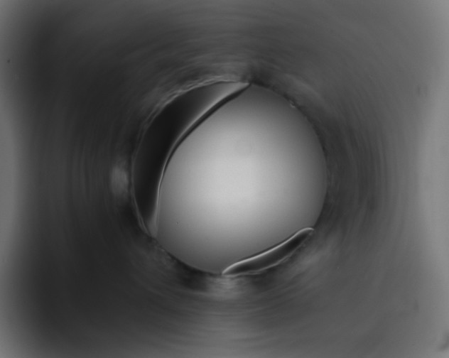 X0000092020432200710041047