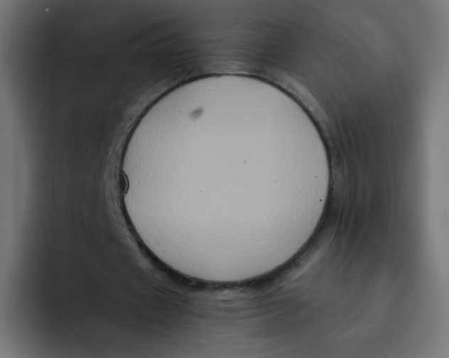 X0000092020433200710041046