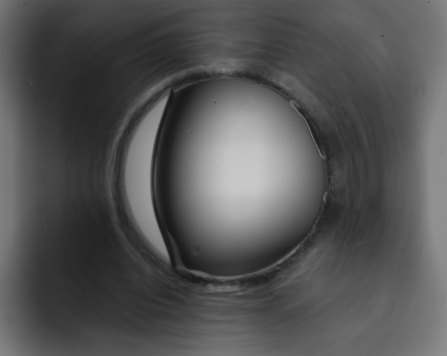 X0000092020440200710041046