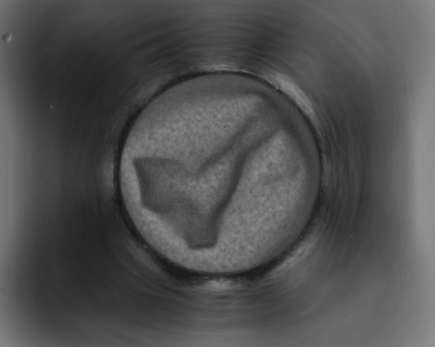 X0000092020441200710041046