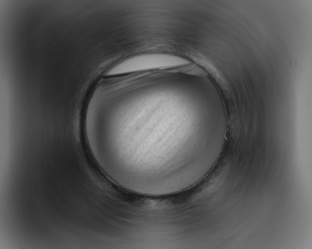 X0000092020442200710041046