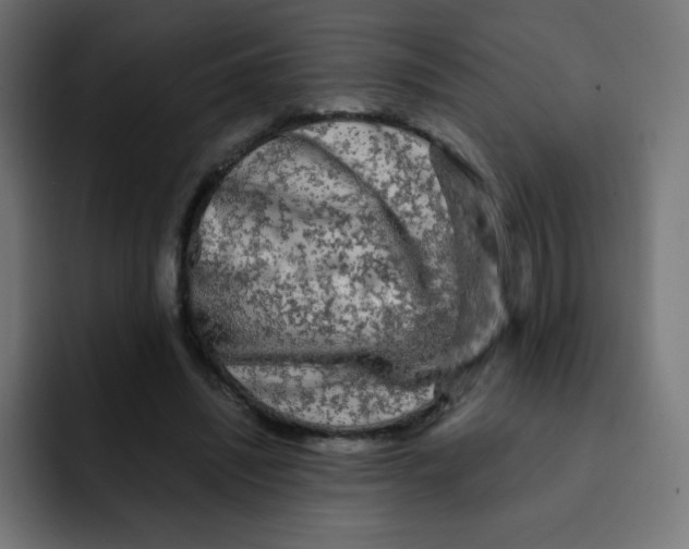 X0000092020444200710041046