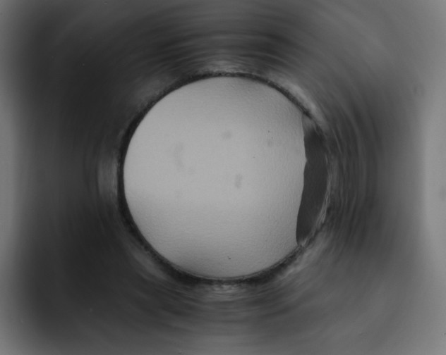 X0000092020445200710041046