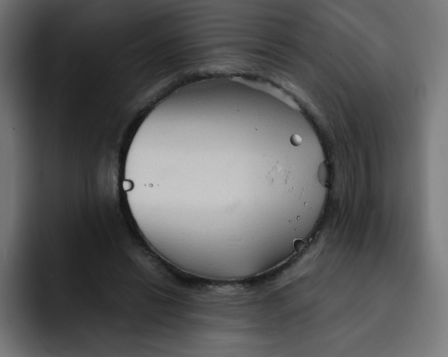 X0000092020446200710041046