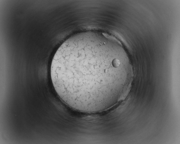 X0000092020447200710041046