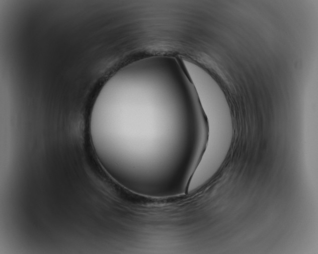 X0000092020448200710041046