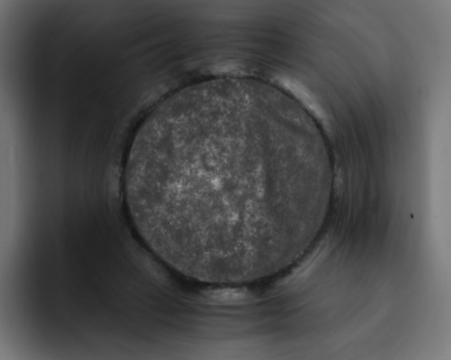 X0000092020449200710041046