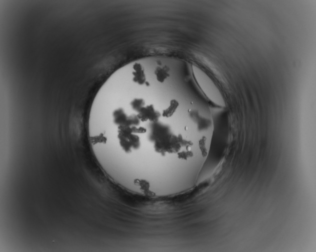 X0000092020451200710041046