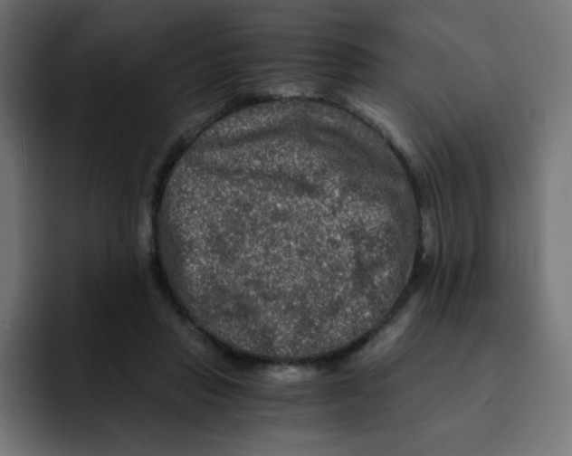 X0000092020453200710041046