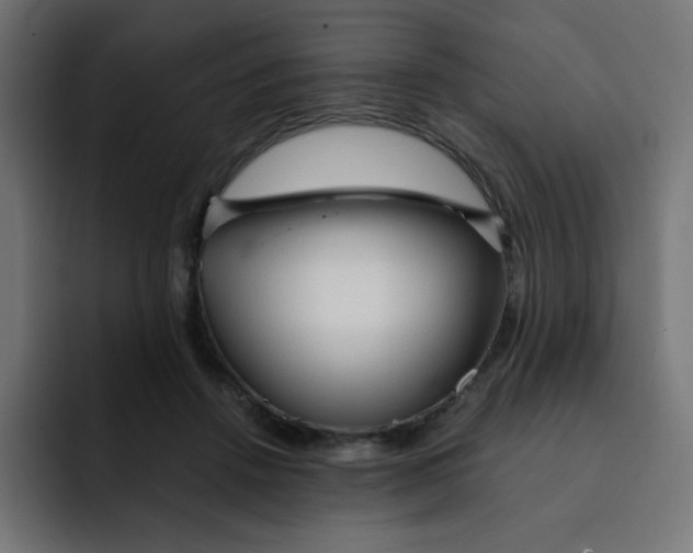 X0000092020456200710041046