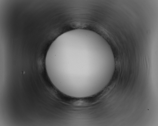 X0000092020460200710041046