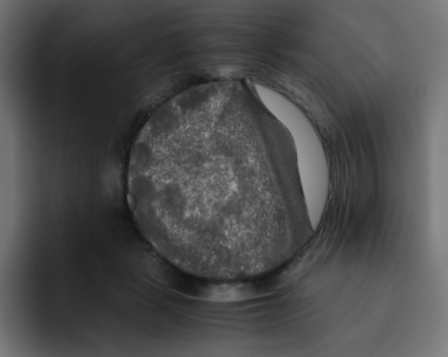 X0000092020461200710041046