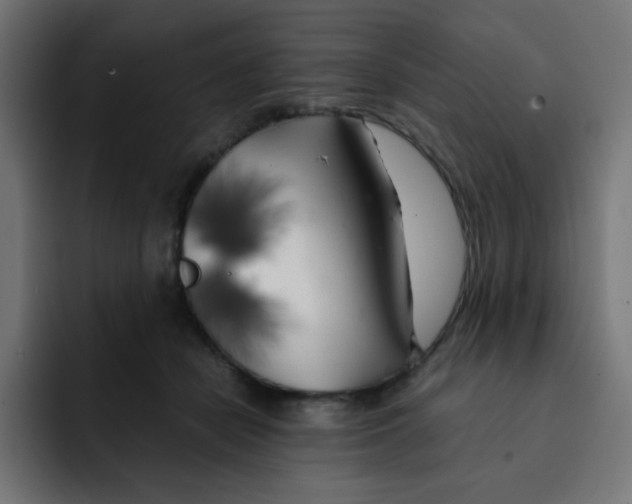 X0000092020462200710041046