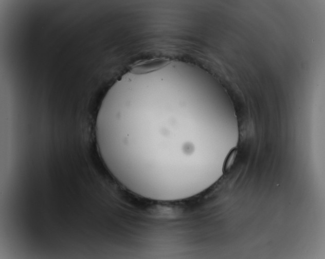 X0000092020464200710041046