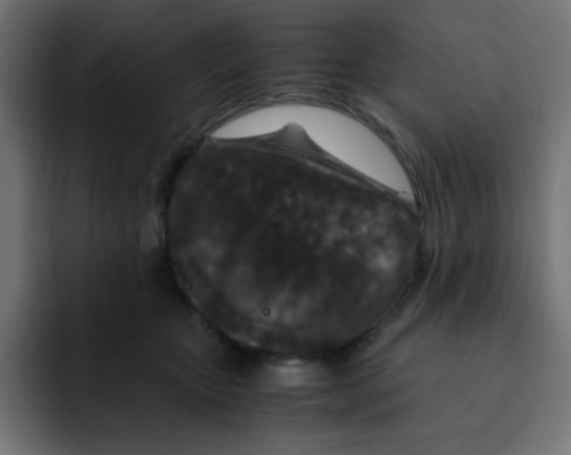 X0000092020467200710041047