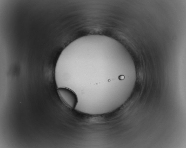 X0000092020468200710041047