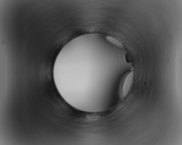 X0000092020470200710041047