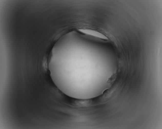 X0000092020479200710041047