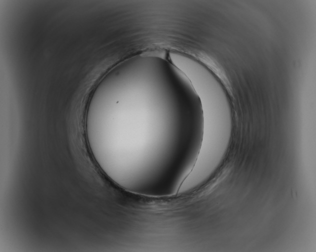 X0000092020481200710041046