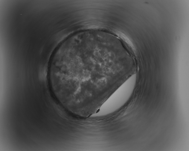 X0000092020483200710041046