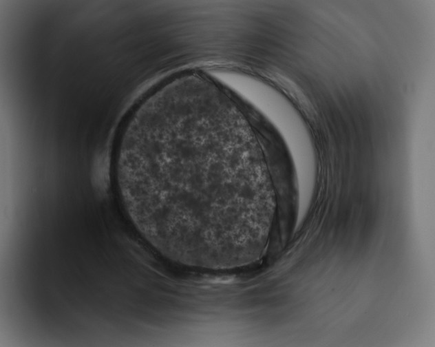 X0000092020484200710041046