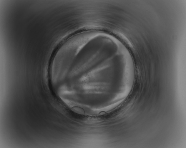 X0000092020487200710041046