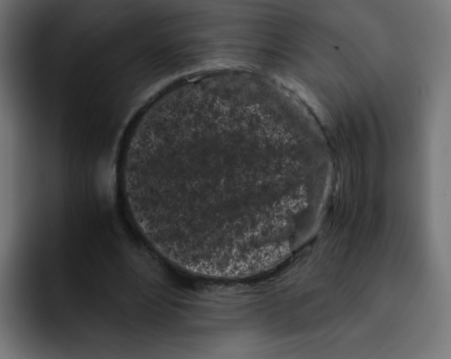 X0000092020488200710041046