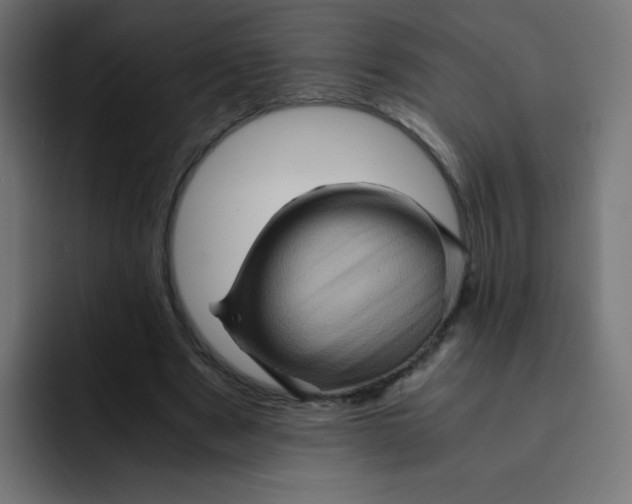 X0000092020489200710041046