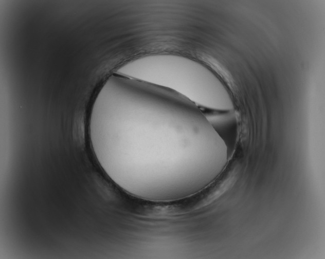 X0000092020493200710041046