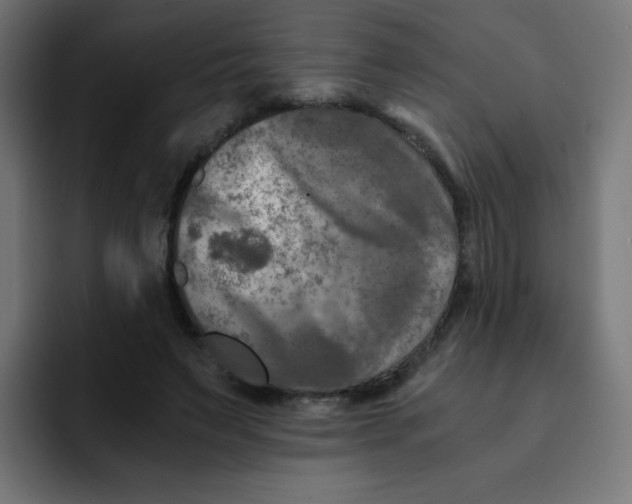 X0000092020495200710041046