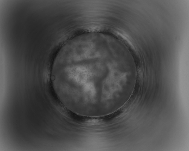 X0000092020499200710041046