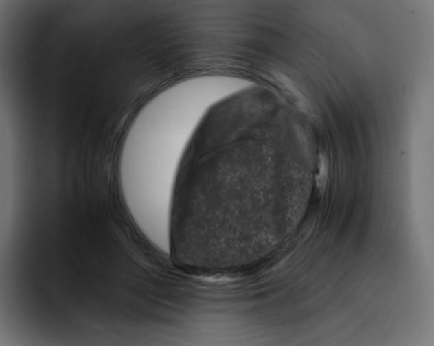 X0000092020500200710041046