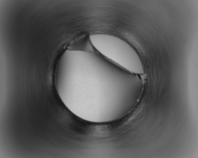 X0000092020501200710041046