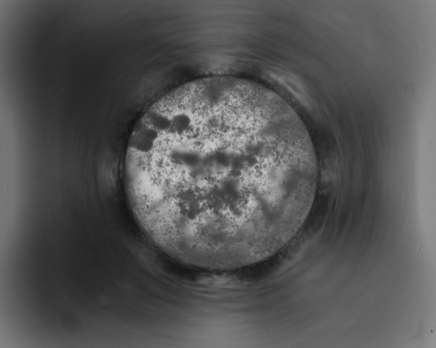 X0000092020503200710041046