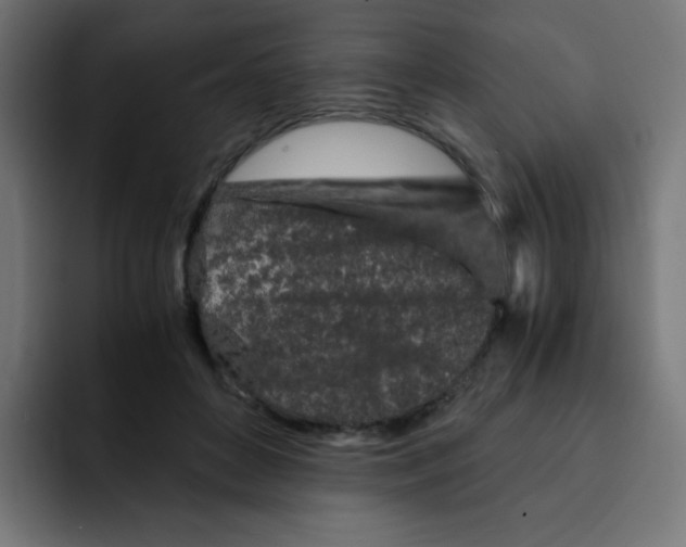 X0000092020504200710041046