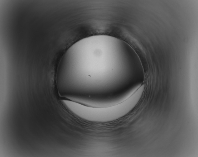 X0000092020509200710041046