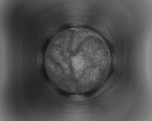 X0000092020511200710041046