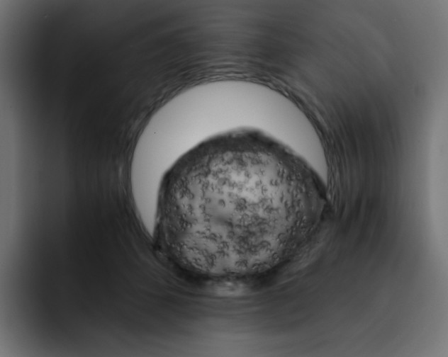 X0000092020512200710041046