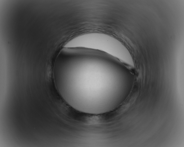 X0000092020513200710041046