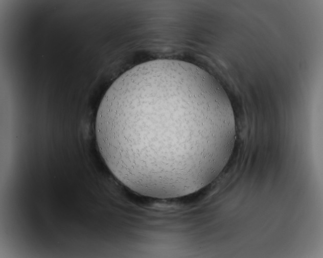 X0000092020515200710041046