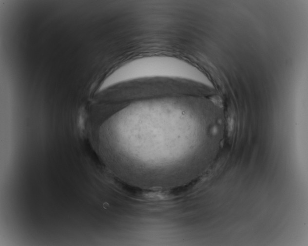 X0000092020516200710041046