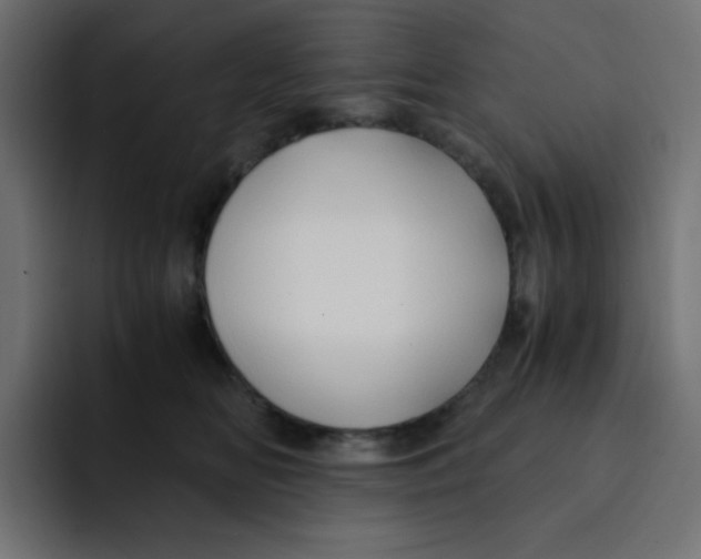 X0000092020518200710041046