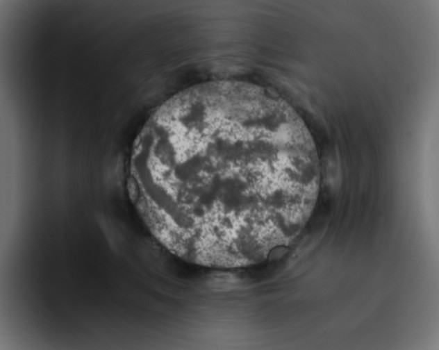 X0000092020519200710041046