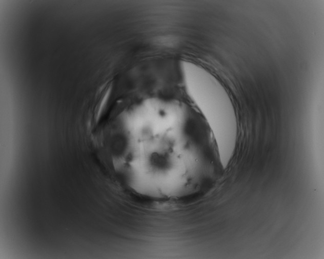 X0000092020520200710041046