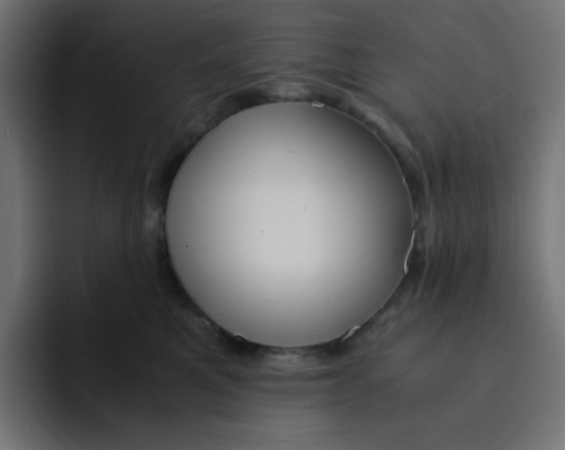 X0000092020521200710041046