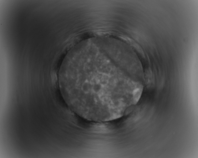 X0000092020523200710041046