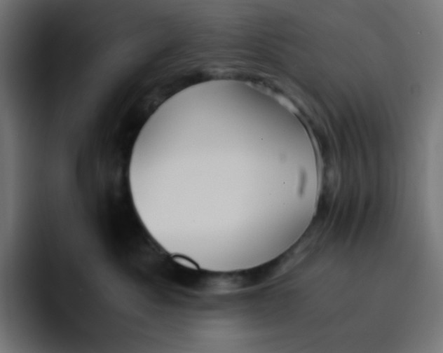 X0000092020525200710041046