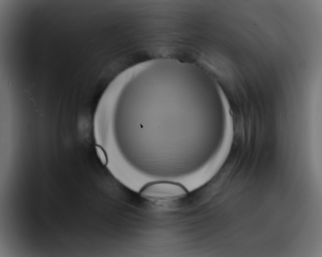 X0000092020526200710041046