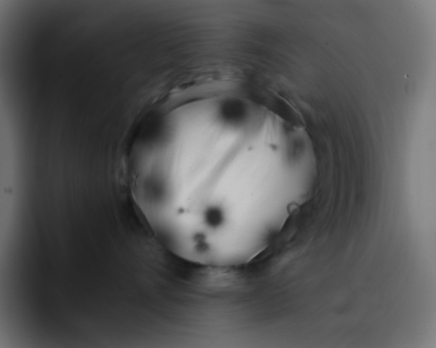 X0000092020528200710041046