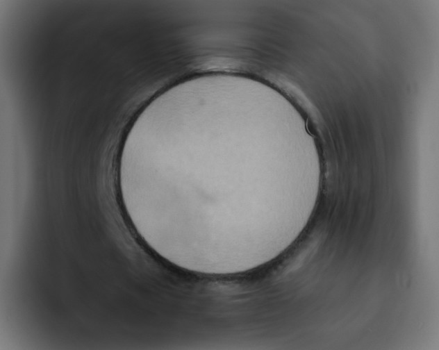 X0000092020529200710041045